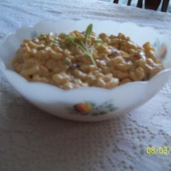 Cheesy Tuna Macaroni Salad