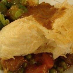 Beef and Onion Pot Pie/Stew