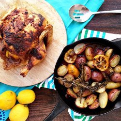 Lemon, Spice and Garlic Roast Chicken