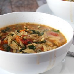 Veggie Orzo Soup