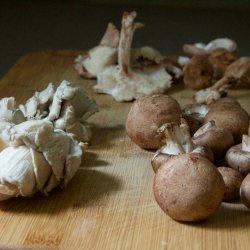 Wild Mushroom Couscous