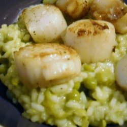 Sweet Pea and Scallop Risotto