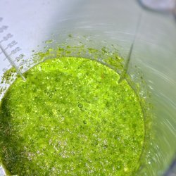 Trinidad Green Seasoning
