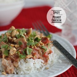 Slow Cooker Easy and Delicious Chicken
