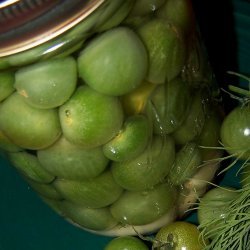 Pickled Green Cherry Tomatoes