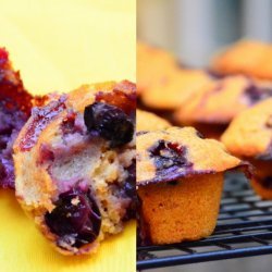 Blueberry Corn Muffin