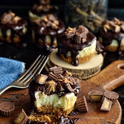 Peanut Butter Cheesecake Minis