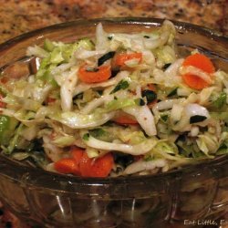 Apple,cabbage and Carrot Slaw