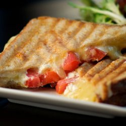 Cheese-Tomato Sandwich