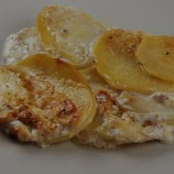 Potato Gratin With Bleu Cheese (Burgundy, France)