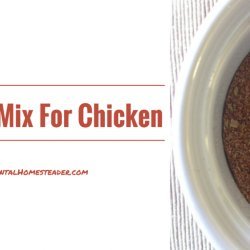 Seasoning Mix for Chicken