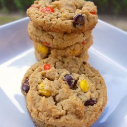 Plain Oatmeal Cookies