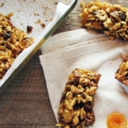 Fruit and Nuts Bars