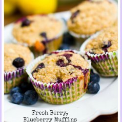 Fresh Blueberry Muffins