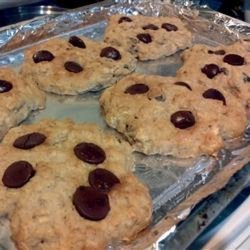Applesauce-Oatmeal Cookies