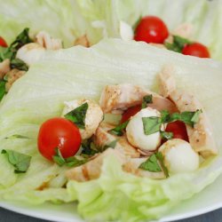 Low Carb Chicken Wrap