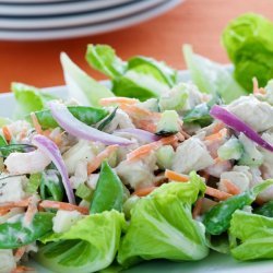 Tuna & Albacore Salad