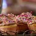 Sour Cream Cupcakes (Anne Burrell)
