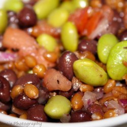 Edamame, Wheat Berry & Black Bean Salad