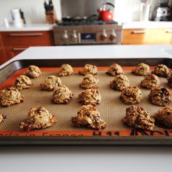 Healthy Protein Cookies