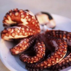 Octapothi- Greek Grilled Octopus