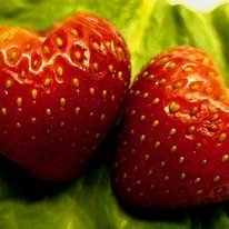 Strawberries With Rebecca Sauce