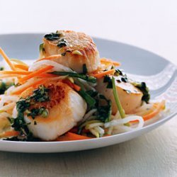 Scallops With Cilantro Sauce And Asian Slaw