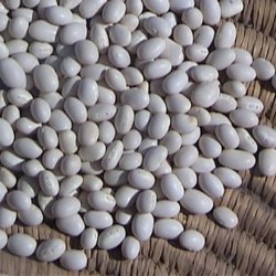 White Bean Spread Or Dip