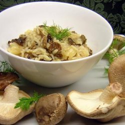 Wild Mushroom And Fennel Risotto