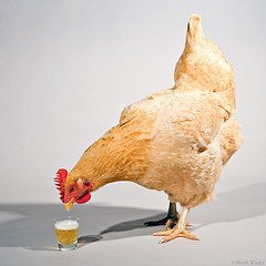 Beer Chicken Not Beer Butt Chicken