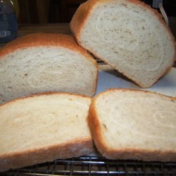 Beginners Bread