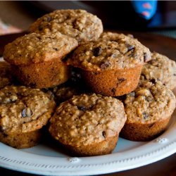 Chocolate-Chip Oatmeal Muffins
