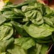 My Favorite Spinach Salad