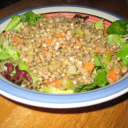 Lentil And Buckwheat Salad