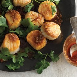 Scallops with Spice Oil
