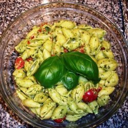Conchiglie Pasta With Basil Pesto And Tomatoes