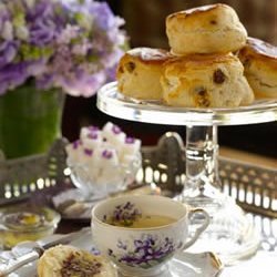 Afternoon Tea With Scones And Clotted Cream