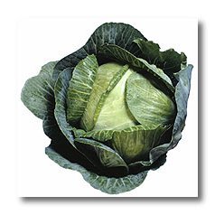 Quick Microwave Cabbage Casserole
