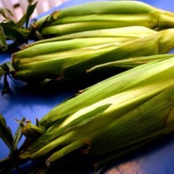 Grilled Corn In The Husks