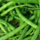 Herbed Green Beans