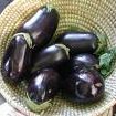 Eggplant Dip  Baba Ghanouj