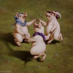 Drei Kleinen Schweinchen I I – Rotkohlrouladen