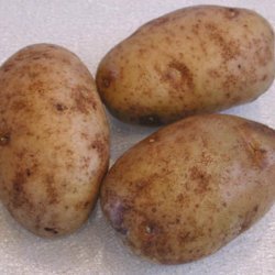 Better Mashed Potatoes