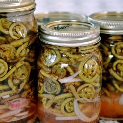 Pickled Fiddle Head Ferns