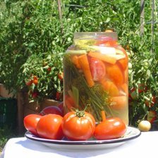 Russian Pickled Tomatoes
