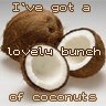 Coconut Cookies Gluten Free