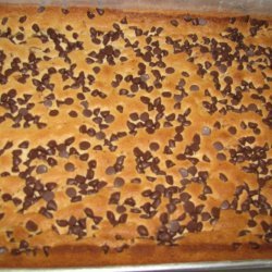 Cousin Anns Chocolate Chip Brownie Cake