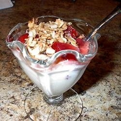 Homemade Plain Yogurt