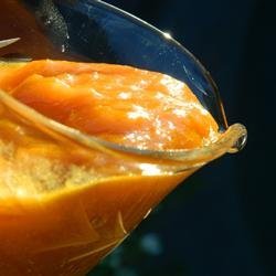 Apricot Orange Syrup with Amaretto