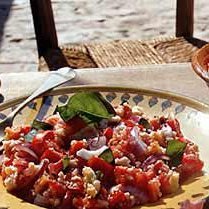 Tomato and Bread Salad with Red Onion